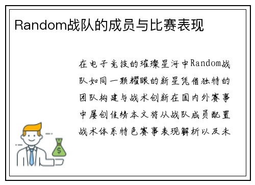Random战队的成员与比赛表现